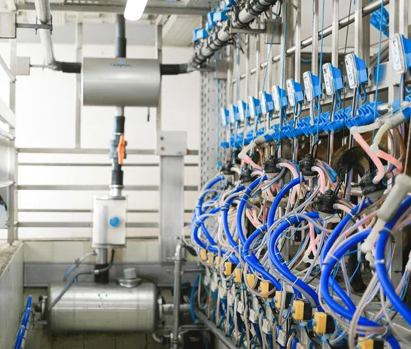 Industrial equipment with neatly organized blue cabling